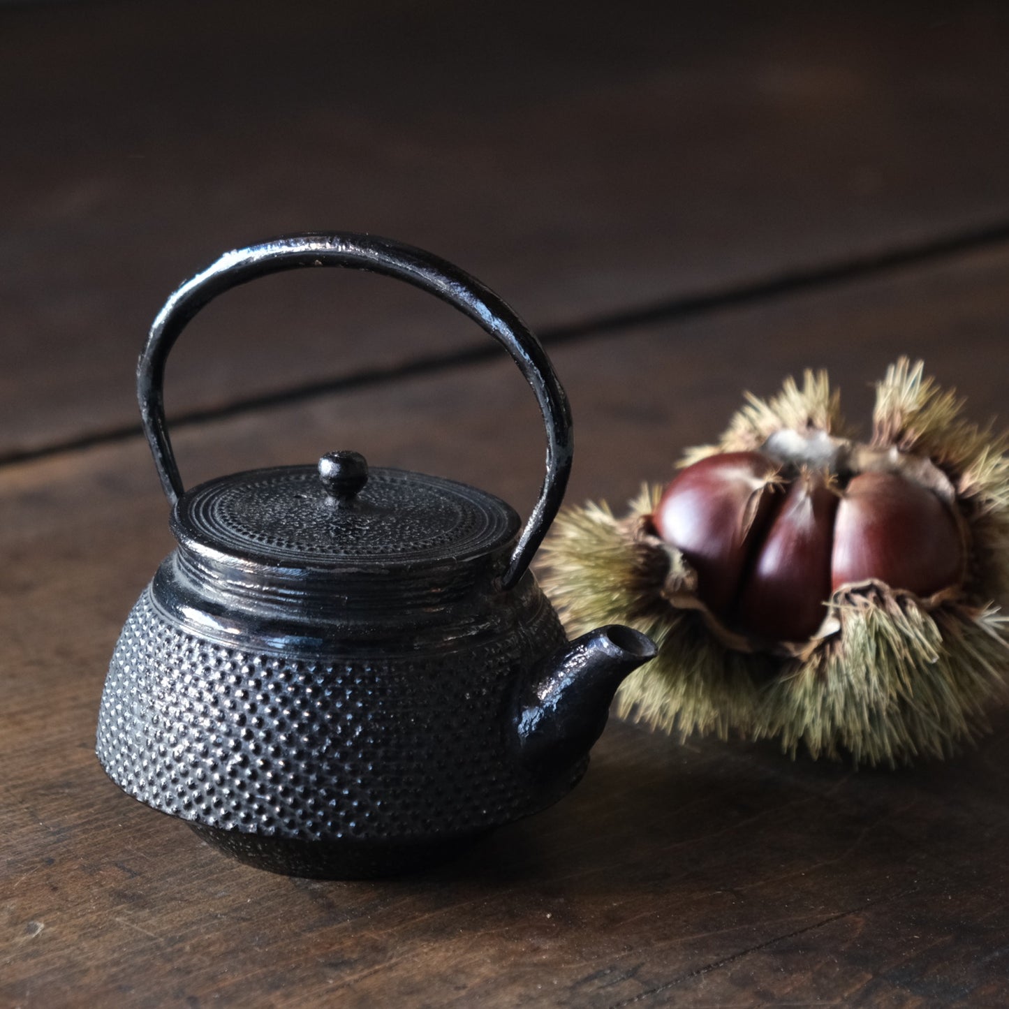 Vintage Japanese Tetsubin iron kettle small size